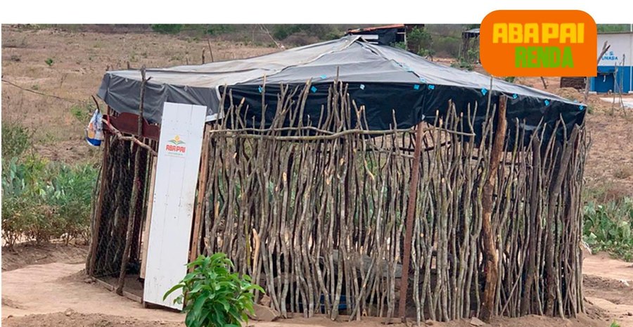 Trabalho de campo do projeto ABA PAI Renda